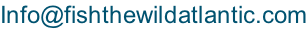 Info@fishthewildatlantic.com