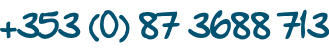 +353 (0) 87 3688 713